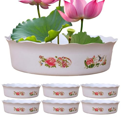 Ciotola per piantare narcisi, fioriera per pesci, supporto per piante grasse, ninfee, 6 pezzi, vaso per ninfee, vaso per ninfee