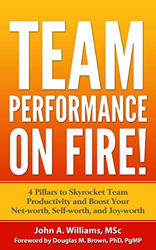 TEAM PERFORMANCE ON FIRE!: 4 Pillars to Skyrocket Team Productivity and Boost Your Net-worth, Self-worth, and Joy-worth