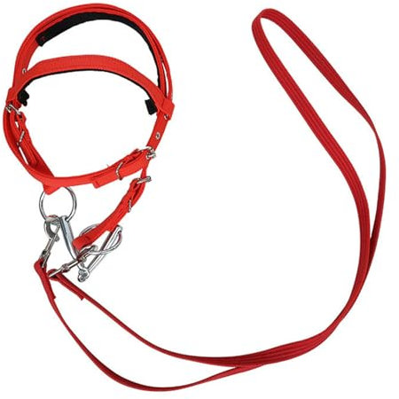 Tasta De Caballo - Cabalón Y Cuerda De Plomo | Cabrilla Hobby Hobby Capesina, Brida De Caballo Ajustable De Cuerda, Cuerda De Rancho Con Cabla