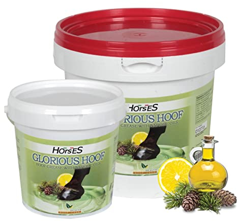 Horses Fett Clogs Glorious Hoof 1000 ml, einfach zu bedienen, nicht schädlich für Menschen oder Pferd, getestete Wirksamkeit, gebrauchsfertig