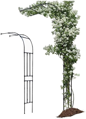 Halbbogen Garten Kletterpflanzen Metall Laube Unterstützung Wandmontage Pera für Reben und Blumen Outdoor Gartendekoration (Schwarz, B 220 x H 240 cm)
