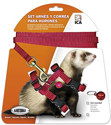 ICA DA970 Set mit Geschirr und Leine für Frettchen, Rot