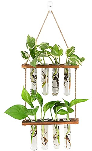 Unnosin Wall Hanging Planter, 2 Tiered Plant Propagation Stations Plant Terrarium with Wooden Stand, Glass Planter Test Tube Vase for Propagating Hydroponic Plants Home Garden Decor 8 Bulb Vase, Green