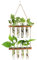 Unnosin Wall Hanging Planter, 2 Tiered Plant Propagation Stations Plant Terrarium with Wooden Stand, Glass Planter Test Tube Vase for Propagating Hydroponic Plants Home Garden Decor 8 Bulb Vase, Green