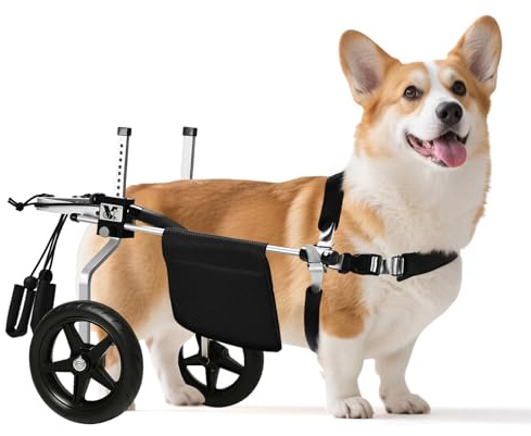 Virbraroo Corgi&Dachshund Dog Wheelchiar - Dog Wheelchair for Back Legs – Lightweight Adjustable Mobility Aid for Medium Dogs - Ideal for IVDD, Arthritis & Injury Recovery