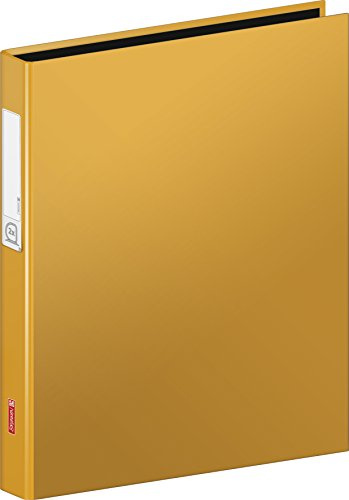 Brunnen 106552140 Ringbuch A4 Kartonüberzug, 20 mm Füllhöhe 2 Ringe, orange