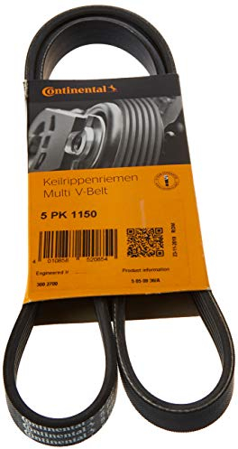 1x Original CONTITECH Keilrippenriemen
