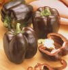 Heirloom Heritage Sweet Bell Pepper Seeds. Mahogany Chocolate Beauty. Certified Organic Grower