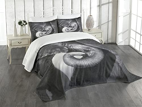 ABAKUHAUS Grau Tagesdecke Set, Elefant-Mutter und Baby, Set mit Kissenbezügen Waschbar, für Doppelbetten 220 x 220 cm, Grau