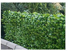 Haie artificielle feuillage rosier Variante Ht.1.0 x Lg.3 m