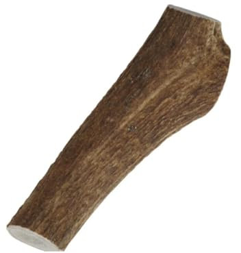 Dei NATURE - Corna di Cervo per Cani Intera -TAGLIA XL- Masticativo Naturale - Rafforza Igiene Orale - Resistenti e Duraturi - Disponibili in Tutte Le Taglie visita il nostro store