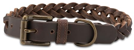 Fettleder Hunde Halsband geflochten – Robustes Lederhalsband aus Handarbeit – hochwertiges Büffel-Leder Halsband Clarissa (M (36.0-45.0cm))
