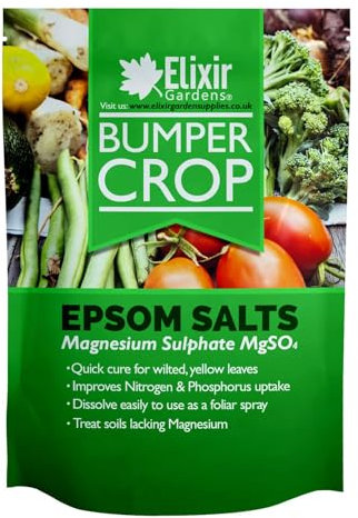 Elixir Gardens Magnesium Sulphate Epsom Salt | Ready To Use Gardening Fertiliser Plant Enhancer | resealable pouch | 6.25kg