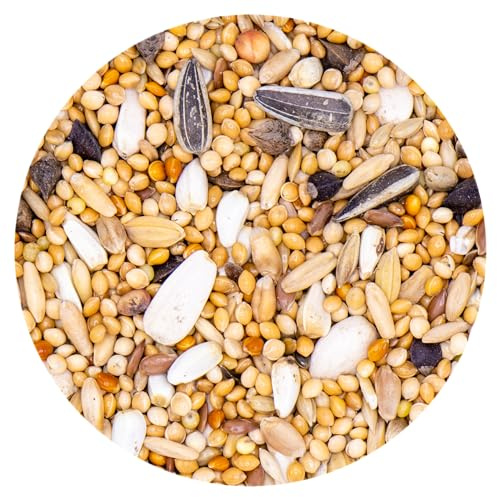 Miscela Parrocchetti con Semi di Girasole 20kg, Alimento per Pappagalli di Taglia Piccola e Media, Parrocchetti, Inseparabili e Calopsitte