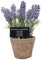 Esschert Design Kunststoffpflanze Lavendel im Topf, Größe L, ca.11 cm x 11 cm cm x 22 cm