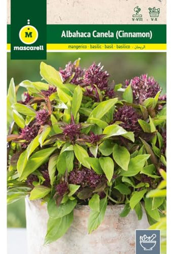 Mascarell Semillas, ALBAHACA CANELA (CINNAMON), Semillas de Hierbas Aromáticas para Plantar, Crea tu Propio Huerto en Casa,.1,5 Gramos