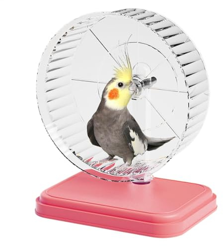 Hamster Running Wheel, Hamster Running Wheel Tyst dubbellager Tyst löpande