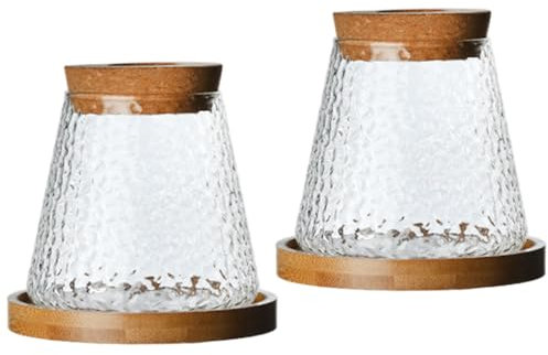 Gcroet 2Pcs Glass Plant Pot Decorative Clear Plant Propagation Station with Perforated Cork & Bamboo Tray for Growing Hydroponic Plants.