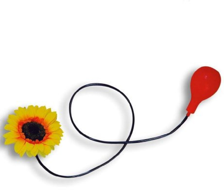 buy'n'get Spritz Blume - Rosa - Kind - Erwachsene aller Geschlechter - Spielend