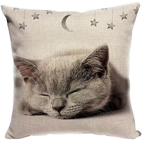 YISUMEI Kissenbezug 50x50 cm Home Decor Sofa Werfen Kissenbezüge Pillowcases Kätzchen Katze Schlaf Star Mond
