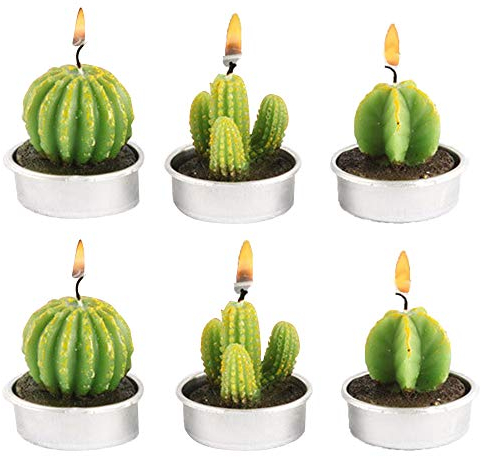 CHSG 6 Piezas Velas De Candelita De Cactus, Lindas Mini, Creativa De Plantas Suculentas, Hechas A Mano Delicadas Sin Llama Luz De Té, Para Fiestas, Bodas, Spa, Decoración Del Hogar, Regalos