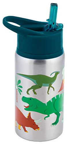 Stephen Joseph Stainless Steel Water Bottles, 18 OZ, Dino