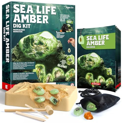 EDUMAN Bernstein Ausgrabungsset für Kinder ab 6 7 8 9 10 11 12 Jahren, Künstliche Meereslebens- und Edelstein-Ausgrabung, Geschenk für Jungen und Mädchen zum Kindergeburtstag