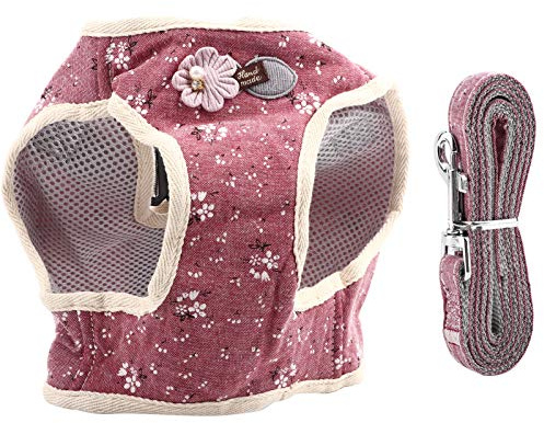 Hundegeschirr und Leine Set Atmungsaktive Baumwollmischung Haustier Hund Brustgeschirr Hundegeschirr Weste und Hundeleine Katze Hund Brustgurt Geschirr für Walking Laufen Training(Rot M)