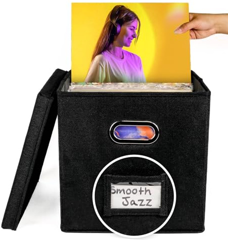 Registro de almacenamiento - Vinyl Record Crate | Organizador de LP | Estuche de almacenamiento fácil acceso a su caja de vinilo decorativo de oro de oro rosa soporte de vinilo para álbum