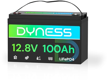Dyness LiFePO4 Batteria al Litio 12V 100Ah a Ciclo profondo con 100A BMS, Per Campeggio, Barche, Accumulo Solare Domestico, Off-grid