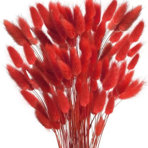 MHDAMAI Secas Naturales Cola de Conejo Flor,Hierba Seca de Cola de Conejo 60pcs Hierba de Pampas Secas para La Sala de Estar del Hogar Decoración de Racimos de Flores,Rojo
