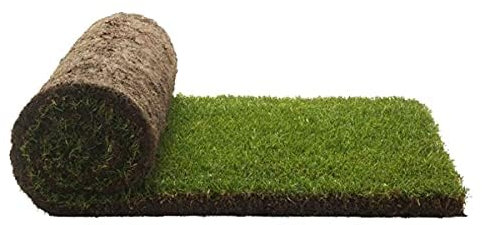 PetGround, Gazon 100% Naturel, Recharge Pack, Ecologique, Tapis olfactif, Inodore, Taille Standard (60x40cm)