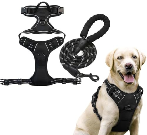 Fellstern - Imbracatura anti-tiraggio per cani, anti-treno, con controllo e strisce riflettenti, non pull, regolabile, traspirante, imbracatura di sicurezza per cani di qualsiasi taglia (M)