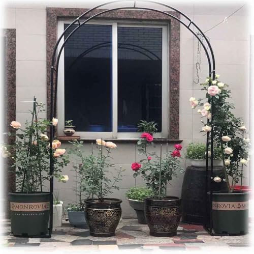 WEKONUMEX Arco de Jardín de Metal Fuerte, Arco de jardín con Rosas for Plantas trepadoras (1,4-3,5 m) - Pérgola de Hierro Resistente(Black,W3M*H2.2M)