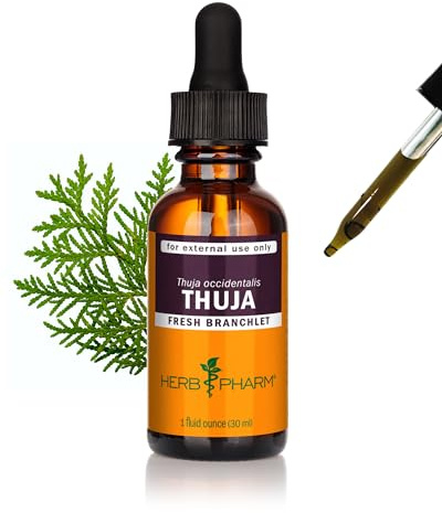 Herb Pharm Thuja Branchlet Liquid Extract - 1 Ounce (DTHUJA01)