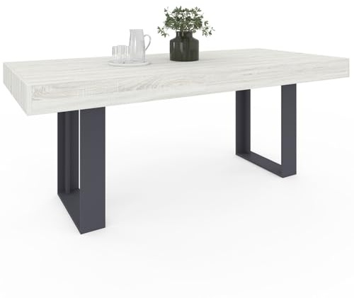 IDMarket Phoenix - Mesa de comedor rectangular para 8 personas, madera, 200 cm, color gris