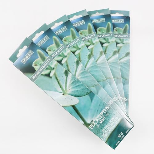 Hosley 120 Pack Incense Sticks + Bonus 120 Pack (Total 240) – Eucalyptus Mint – Bulk Pack Perfect for Home, Meditation & Aromatherapy