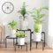 Jeackcelle 5 Pack Metal Plant Stands, Heavy Duty Flower Plant Pot Stands for Multiple Plant, Anti-Rust Iron Plant Pot Shelf, Decoration Plant Stand Racks for Home Indoor and Outdoor (Black)