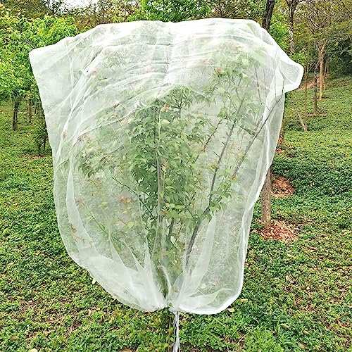 LINSOCLE Filet de protection pour arbres fruitiers, avec fermeture éclair et cordon de serrage, respirant, indéchirable, pour une protection efficace contre les insectes, 2 x 2,4 m, blanc