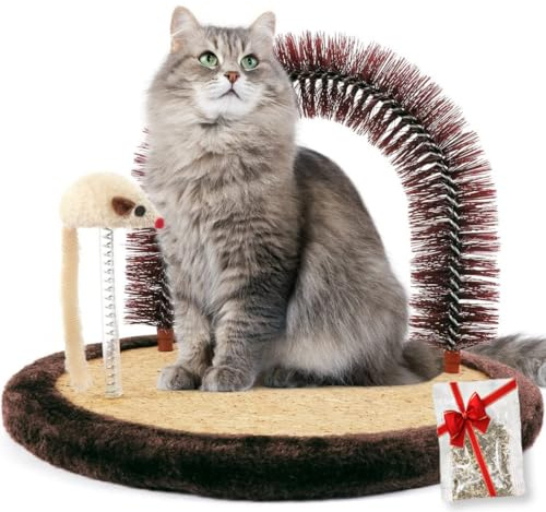 Happi N Pets Stor självvårdande enhet för katter, hårborste med robust skrapa och kattgräs, interaktiv kattunge leksak