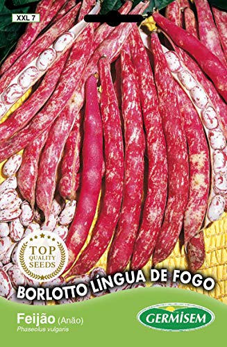 Germisem Borlotto Lingua de Fogo Graines de Haricots Français 100 g