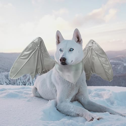 Divertente costume con ali di pipistrello per cani, grazioso abbigliamento peloso per animali domestici per Halloween (ala di drago argentata, taglia L)