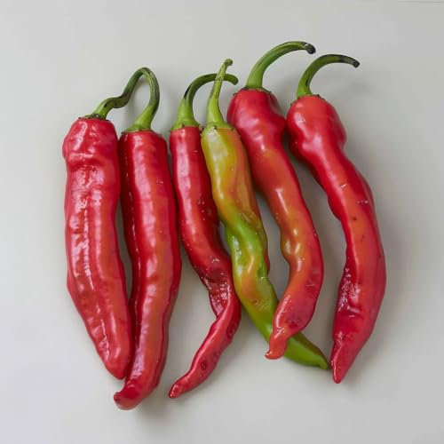 25 Semi di Peperone Dolce Molto Lunghi Landes - SemiWild Permaculture