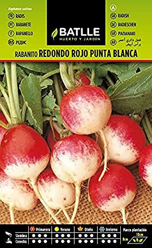 Semillas Batlle Radis Rond Rouge, Pointe Blanche