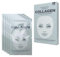 Benjamin Button® Hydrolysed Collagen & Hyaluronic Acid Face Mask | Instant Plumping & Anti-Aging | Premium Korean Beauty Treatment (5 Count (Pack of 1)
