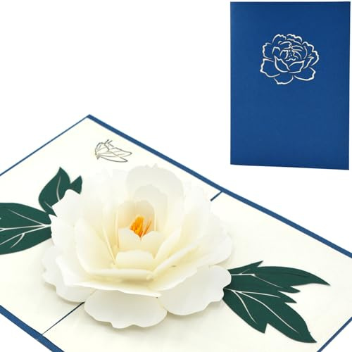 Fassory Biglietto di auguri 3D popup con camelia bianca, per congedare, condoglianze, condoglianze, biglietto di auguri universale fatto a mano (camelia bianca)