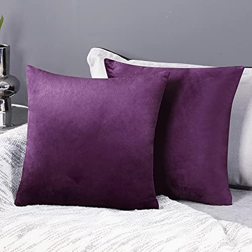 Deconovo Set of 2 Velvet Cushion Covers - Dark Purple - 55 x 55 cm - Garden Cushion Cover