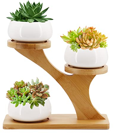Gearific Pots de fleurs en céramique avec plateau en bambou, petits pots de fleurs en forme de cactus pour la maison, le bureau, le rebord de fenêtre (rond)