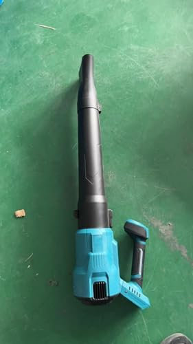 Securex Souffleur à Batterie sans Fil 4.0Ah Puissant, 2 Vitesses, 42 m/s, Faible Bruit, Moteur Brushless, Léger et Résistant ABS, Longue Autonomie, pour Feuilles, Jardin, Terrasse, Neige