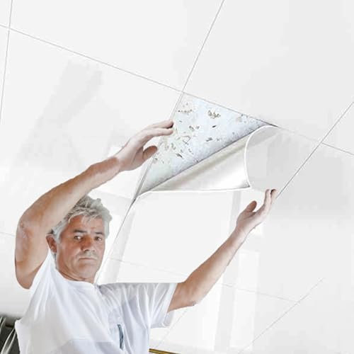 Paneles de Revestimiento para Techo, despegables y Adhesivos, Resistentes para decoración de Paredes Interiores y para Cubrir Grietas y Manchas, Panel Decorativo de PVC autoadhesiv